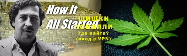 PSILOCYBIN Богородицк